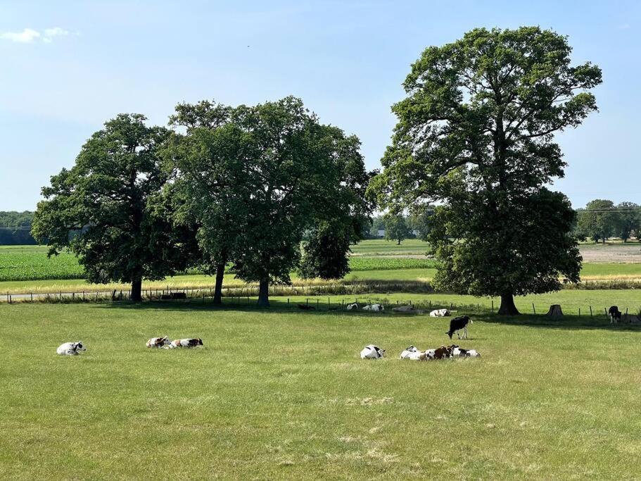 Woonboerderij Маркело Экстерьер фото